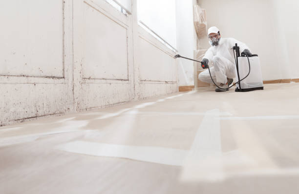 24/7 Emergency Attic Mold Remediation experts in Ashburn, VA