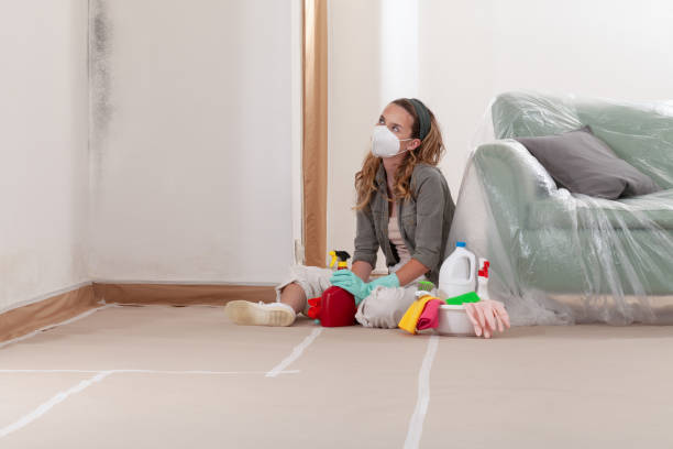 Reliable Attic Mold Remediation contractor in Ashburn, VA by Mold Remediation HQ