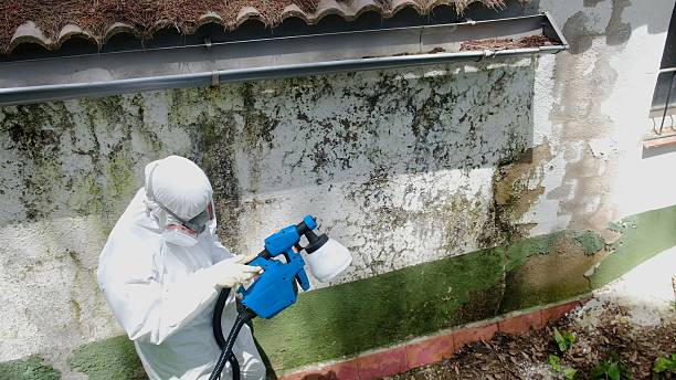 Top rated local Attic Mold Remediation specialists in Ashburn, VA